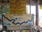 Penyu-penyu Gili Trawangan yang Menggemaskan