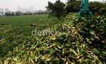 Pemprov DKI Kebut Normalisasi Waduk