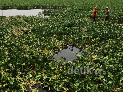 Pemprov DKI Kebut Normalisasi Waduk