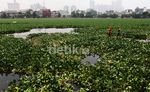 Pemprov DKI Kebut Normalisasi Waduk