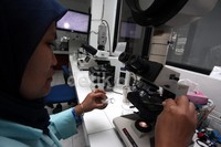 Satu dosis dibanderol US$ 20 (sekitar Rp 200 ribu). Harga ini, meski jauh berlipat dari harga untuk para petani dan peternak lokal yang mulai Rp 30-an ribu per dosis, masih di bawah harga pasar dunia, yang mencapai US$ 30 per dosis.