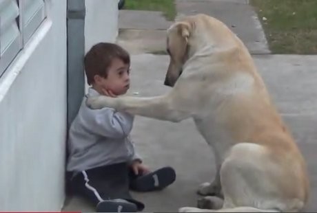 Mengharukan! Video Anjing yang Setia Temani Anak Down Syndrome Bermain