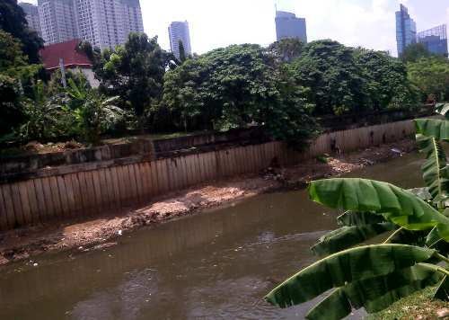 Jokowi Ajak BUMN Bangun 4 Bendungan Kali Ciliwung