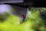 Pemeliharaan Jembatan Kolong Tol