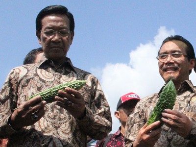 Pekan Flori dan Flora Yogyakarta