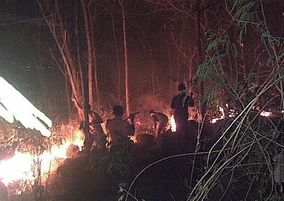 Hutan Jati di Bukit Bentar Probolinggo Terbakar