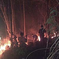 Hutan Jati di Bukit Bentar Probolinggo Terbakar