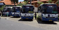 Dalam acara KTT APEC ini, akan digunakan 100 bus dan angkutan umum yang berbahan bakar bio diesel.
