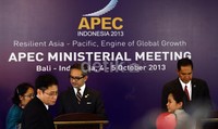Sebelumnya para Menteri Luar Negeri dan Menteri Perdagangan dari 21 negara anggota APEC menggelar pertemuan tingkat menteri (APEC Ministerial Meeting (AMM)) di Laguna Resort and Spa, Nusa Dua Bali.