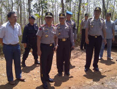 13 Ribu Pohon Jati di Tuban Dijarah Selama Tiga Tahun