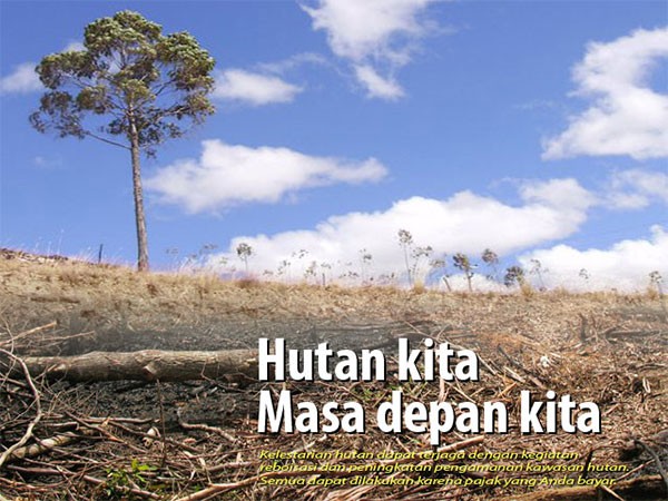 Menyikapi Pengelolaan Hutan Indonesia