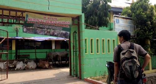 Lama Ditelantarkan, SDN 1 Duri Kepa Jadi Tempat Jual Kambing dan Sapi