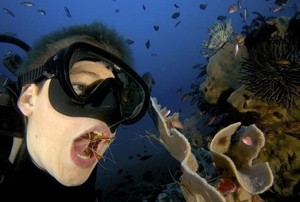 Bukan Dokter Gigi, Tapi Udang Perairan Bali yang Bersihkan Mulut ABG Ini