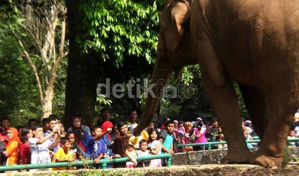 Gelar Dialog Publik, Kebun Binatang Ragunan Diminta Ajukan RUU Petshop