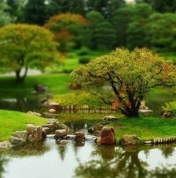 Tilt-Shift, Obyek Mini Sensasi Maxi