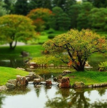 Sang fotografer yakni David Panich mengatakan ia bersenang-senang dengan Photoshop saat melahirkan foto ini. Sebuah taman Nikka Yuko, Jepang dengan pohon yang menonjol di antara latar yang dibuat blur. (kredit foto David Panich)