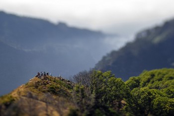 Foto bertajuk Philophobia ini dihasilkan dengan pemakaian lensa Lensbaby. (kredit foto: Nuno Caldeira)
