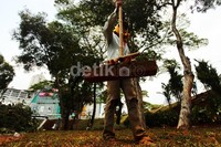Seorang pekerja merapihkan rumput di Taman Semanggi.