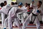 Gaet Pelatih Spanyol, Karate Bidik Prestasi