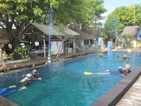Harga untuk ikut sekolah menyelam di Dream Divers adalah sebesar Rp 3,7 juta. Dengan harga tersebut, wisatawan bisa mendapatkan lisensi penyelaman dan mengikuti pelatihan menyelam sekaligus melihat keindahan bawah laut Lombok yang cantik (Afif/detikTravel)