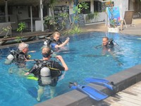 Untuk kelas menyelam, biasanya pukul 09.00-12.00 Wita wisatawan belajar di kolam dengan menggunakan peralatan selam yang lengkap. Saat itulah, pemandu selam bakal memberikan pelatihan tentang menyelam secara detail (Afif/detikTravel)