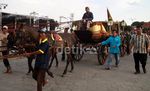 Kereta untuk Pernikahan Putri Sultan Dicoba
