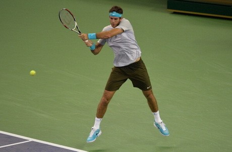 Taklukkan Nadal, Del Potro Tantang Djokovic di Final