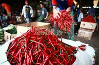 Seorang pedagang tampak menata barang dagangannya di salah satu lapak di Pasar Induk Kramat Jati, Jakarta, Senin (14/10/2013).