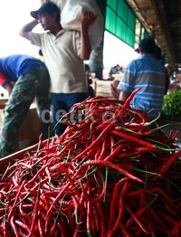 Untuk harga referensi yang telah ditetapkan pemerintah, untuk bawang merah adalah sebesar Rp 25.700/kg, cabai merah keriting Rp 26.300/kg dan cabai rawit seharga Rp 28.000/kg.