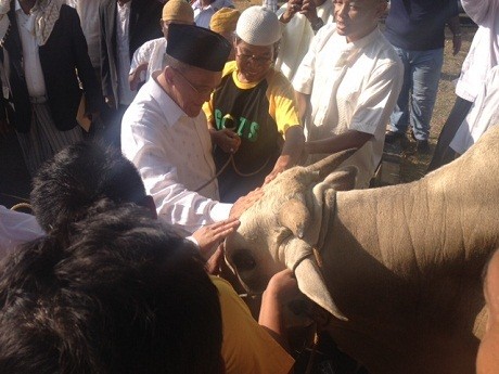 Idul Kurban, Partai Golkar Sumbang 22 Sapi dan 7 Kambing