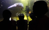 Pengunjung menyaksikan salah satu atraksi yang ditampilkan.