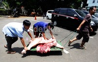 Tahun ini, Masjid Agung Sunda Kelapa memotong 24 ekor sapi dan 94 ekor kambing.