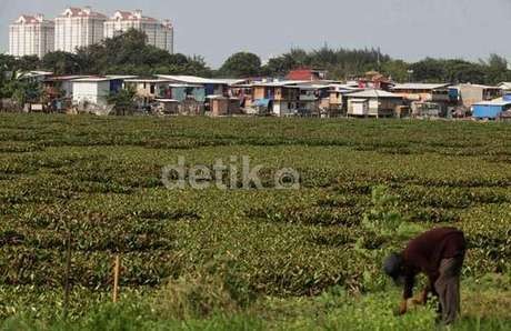 Akan Segera Digusur, Warga Waduk Ria Rio Siap Pertahankan Tanahnya