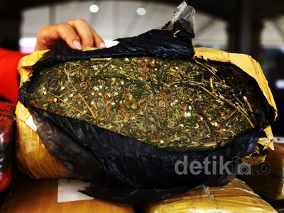 Polres Jakarta Utara Amankan 66 Kg Ganja