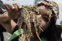Mereka mengkawatirkan tidak adanya generasi penerus di sektor pertanian beberapa tahun mendatang sehingga mereka mengajak para pemuda generasi penerus untuk terus mengelola lahan pertanian.