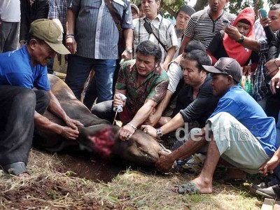 Rhoma Irama Berkurban