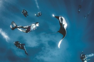 Aktivis Lingkungan AS Gaet Traveler Indonesia Kampanye Manta