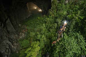 Gua Terbesar Sedunia di Vietnam, Ada Hutan di Dalamnya