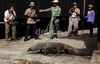 Awas jangan dekat-dekat mister, seru ranger Pak Yoi, kepada turis asing.