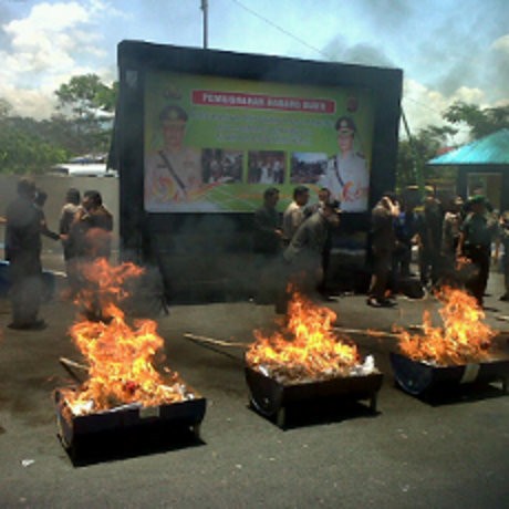 Polisi Bakar Ganja, Ormas: Allahu Akbar!