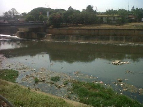 Jarang Dibersihkan, Kanal Banjir Timur Kotor