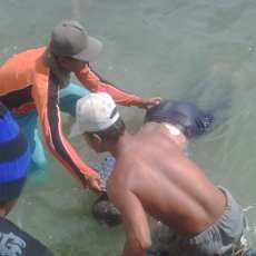 Korban Tenggelam PLM Monalisa Ditemukan Nyangkut di Rumput Laut