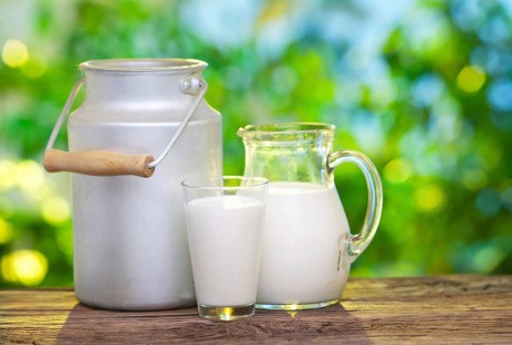 Orang yang Seperti Ini Tidak Perlu Minum Susu