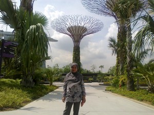 Jangan Cuma Belanja di Singapura, Coba Gardens by the Bay