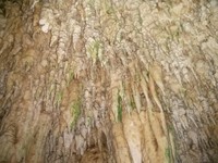 Indahnya stalaktit yang bergantung tegap di langit-langit gua. Stalaktit ini masih asri dan tidak terkena kerusakan manusia ataupun alam (Egir/detikTravel)