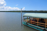 Luas Segaro Anak mencapai lebih dari 1.000 Hektar. Di sinilah wisatawan dapat menyusurinya dengan boat atau yang biasa disebut masyarakat sekitar sebagai Gondang-gandung (Afif/detikTravel)