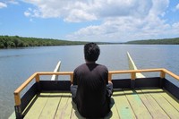 Taman Nasional Alas Purwo pun menyediakan paket sewa boat untuk menyusuri Segaro Anak mulai Rp 200 ribu. Dengan kapasitas perahu yang dapat menampung sekitar 15 orang, Anda bisa melihat dari dekat hutan mangrove yang lebat dan aneka burung yang terbang bebas di sana (Afif/detikTravel)