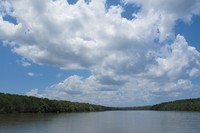Anda bakal menyusuri perairan yang besar dan hutan mangrove yang hijau dan lebat di sisinya, yang terpisah jarak puluhan meter. Awannya pun terlihat putih dan langitnya biru bersih (Afif/detikTravel)