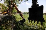 Waduk Sunter Dibersihkan