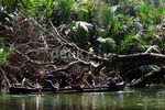 Asyiknya Berkano di Sungai Cigenter